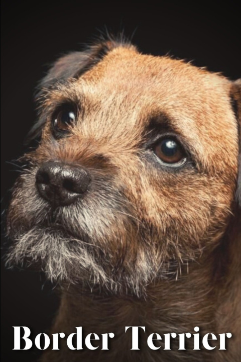 Kniha Border Terrier Nina Pustova
