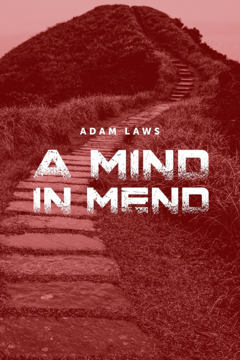 Kniha A Mind In Mend Adam Laws