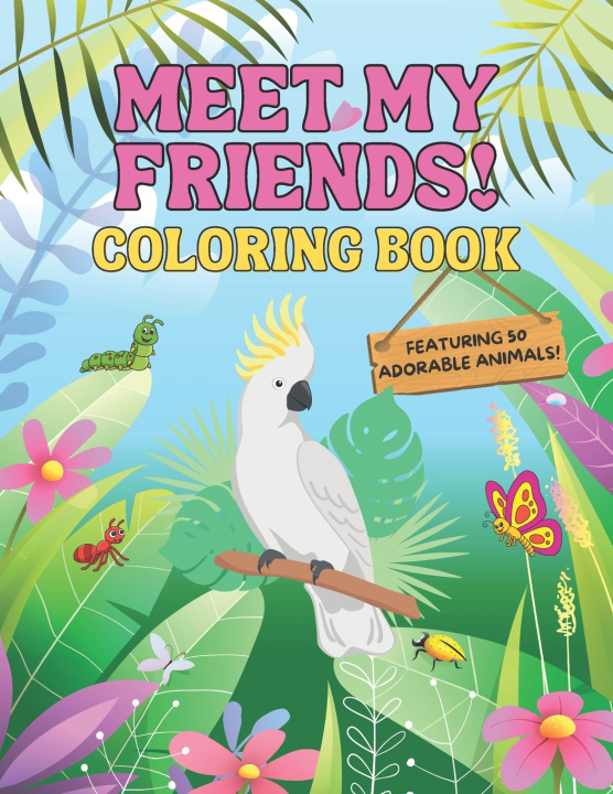 Kniha Meet My Friends! Coloring Book PandaDragon Publishing