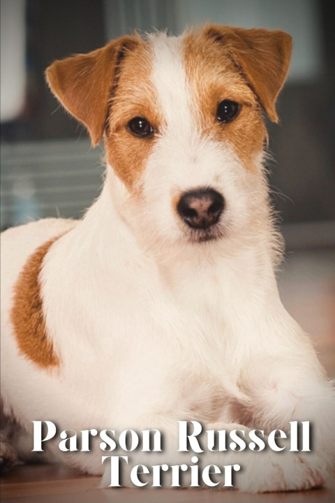 Kniha Parson Russell Terrier Nina Pustova