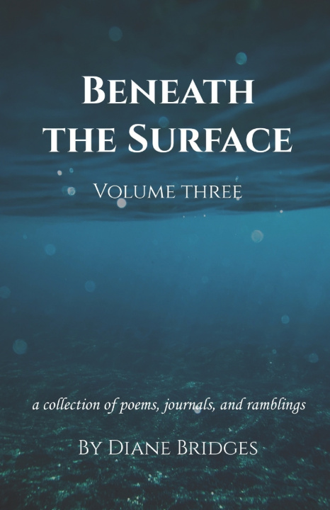 Kniha Beneath The Surface, Volume Three Diane Bridges