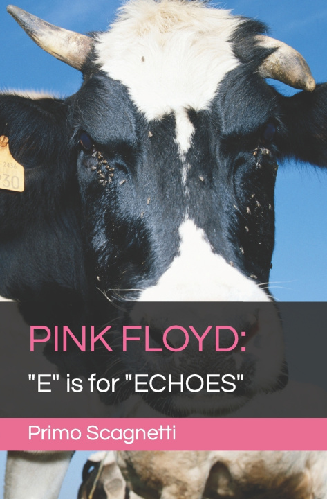 Kniha PINK FLOYD Primo Scagnetti