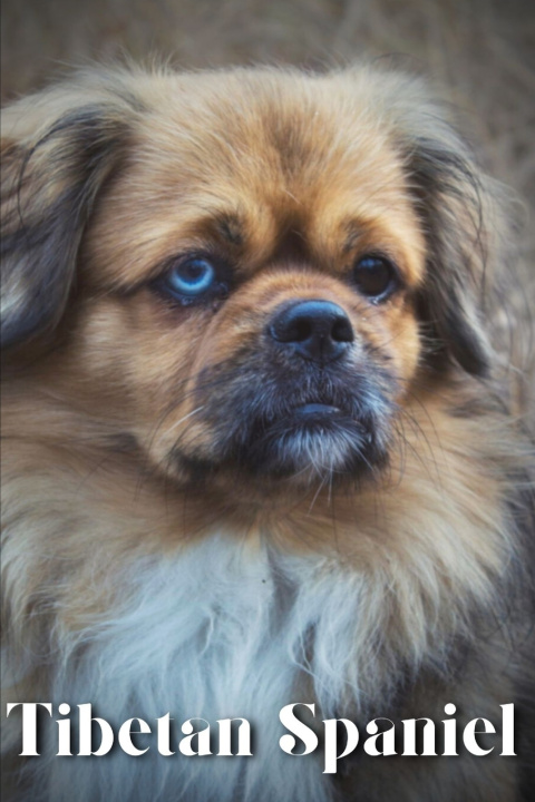 Buch Tibetan Spaniel Nina Pustova