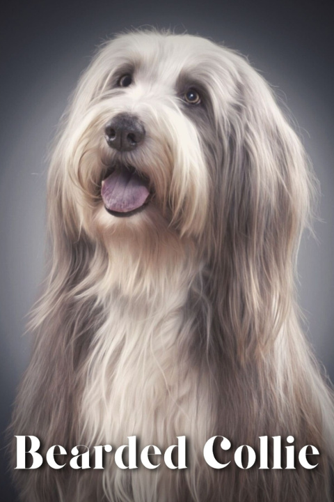 Kniha Bearded Collie Nina Pustova