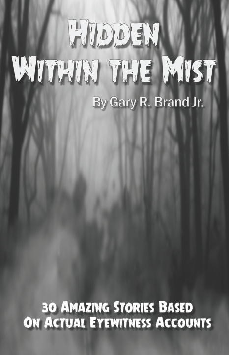 Kniha Hidden Within The Mist Gary R Brand Jr.