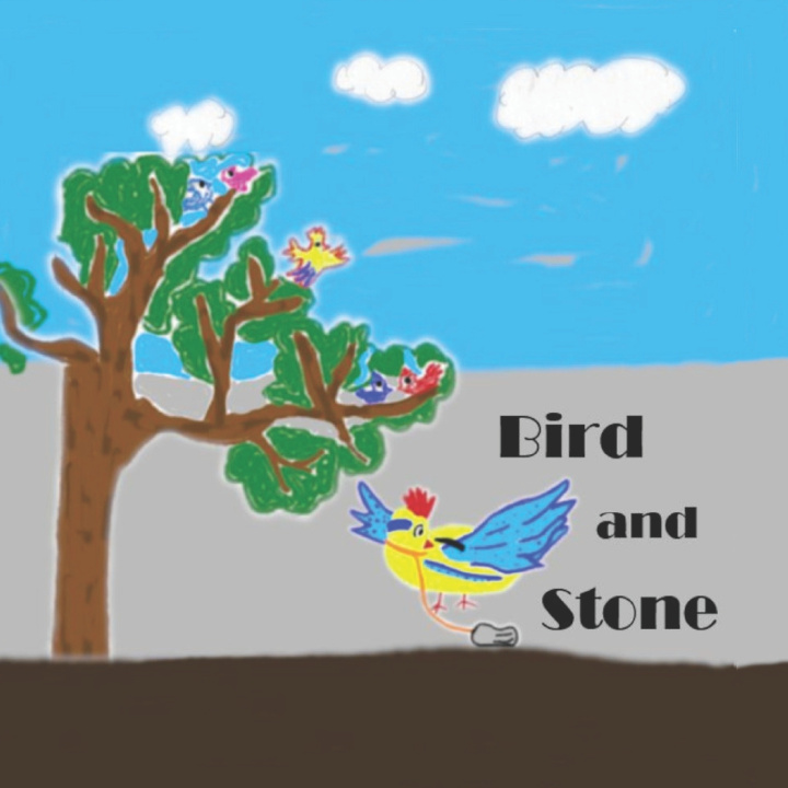 Knjiga Bird and Stone LuLu A