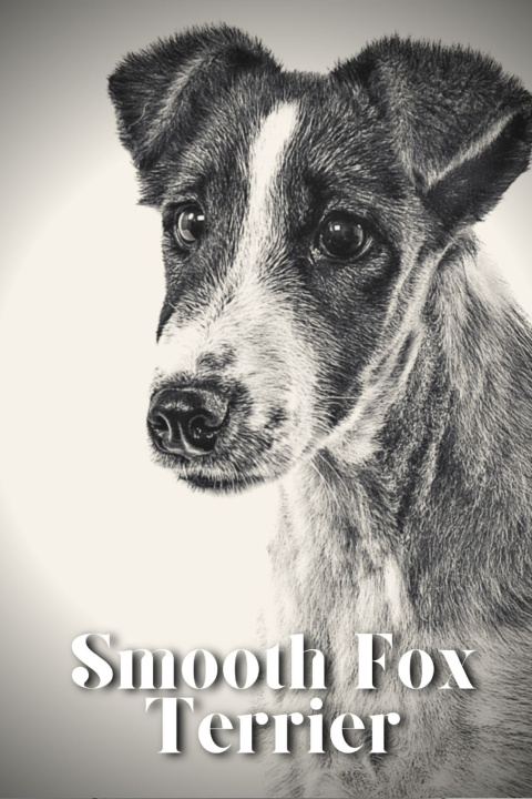 Kniha Smooth Fox Terrier Nina Pustova