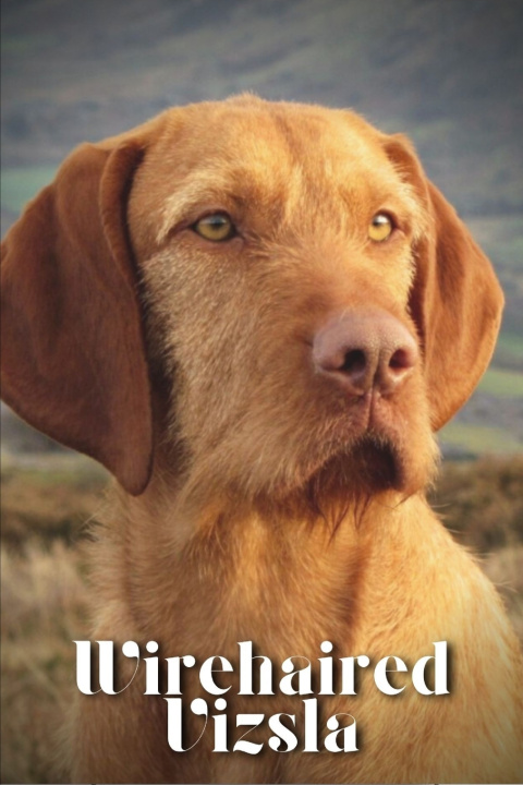 Kniha Wirehaired Vizsla Nina Pustova