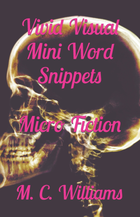 Kniha Vivid Visual Mini Word Snippets M. C. Williams