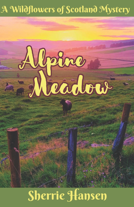 Kniha Alpine Meadow Sherrie Hansen