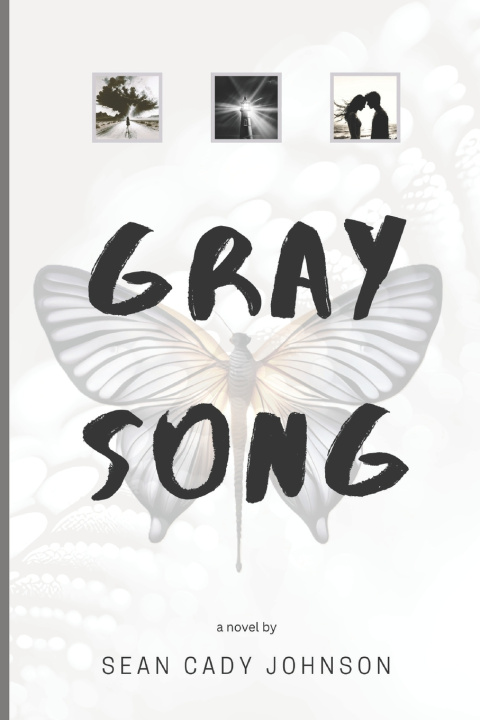 Kniha Gray Song Sean Cady Johnson