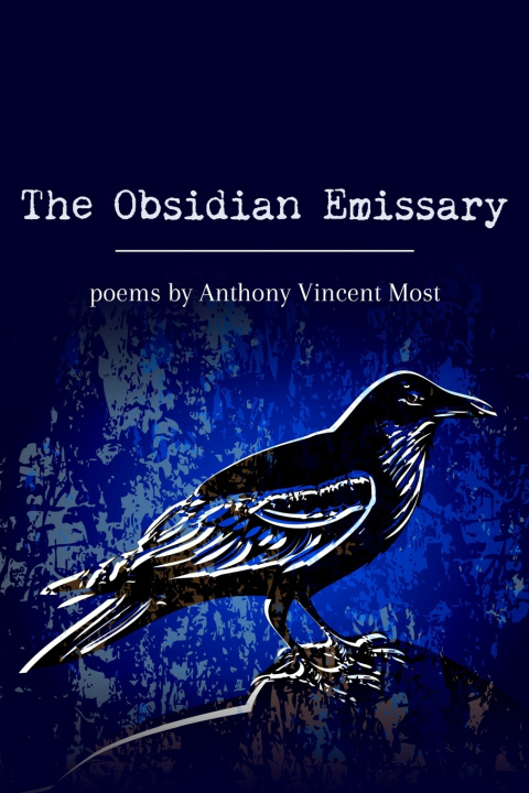 Kniha The Obsidian Emissary Anthony Vincent Most