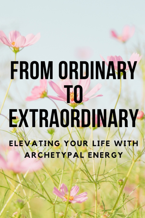 Kniha From Ordinary to Extraordinary Nichole Muir