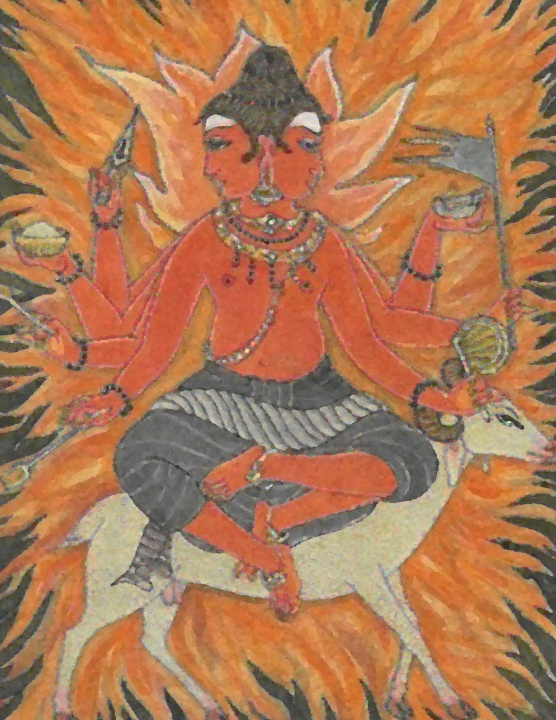 Kniha Agni Lakshmi Leela