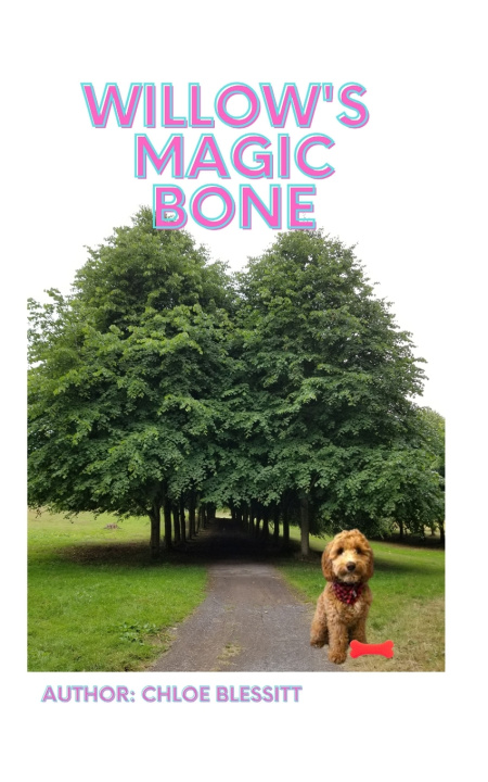 Kniha Willow's Magic Bone Chloe Blessitt
