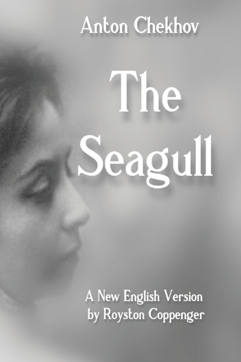 Knjiga The Seagull Anton Chekhov