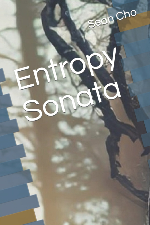 Kniha Entropy Sonata Sean Cho LSW