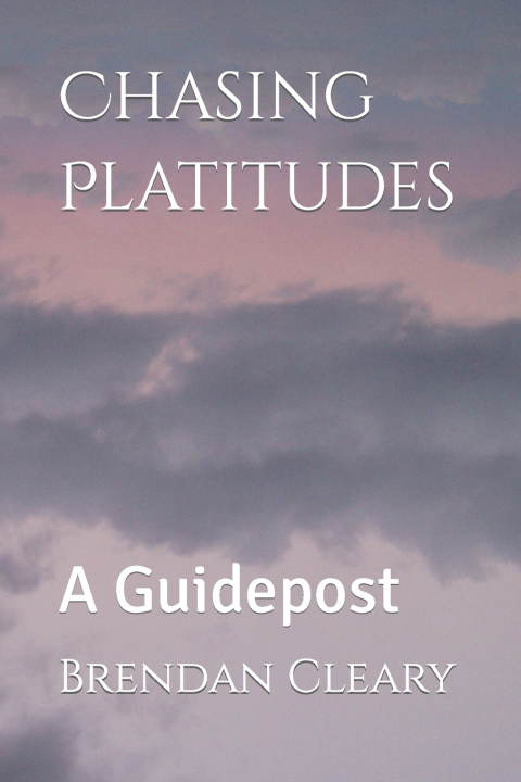 Kniha Chasing Platitudes Brendan Cleary