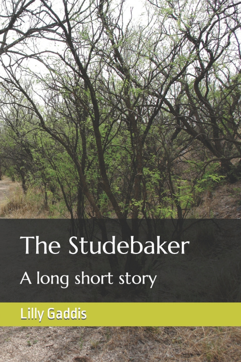 Kniha The Studebaker Lilly Gaddis