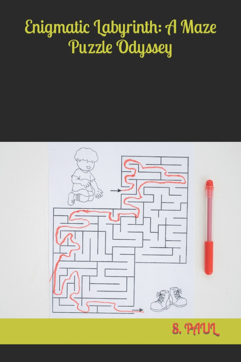 Kniha Enigmatic Labyrinth S. PAUL