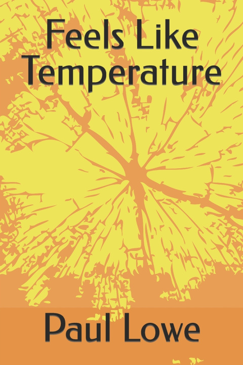 Kniha Feels Like Temperature Paul Lowe