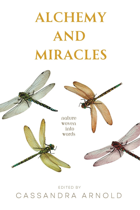 Boek Alchemy and Miracles Cassandra Arnold