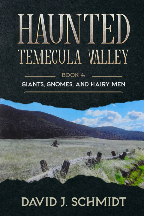 Kniha Haunted Temecula Valley David J. Schmidt