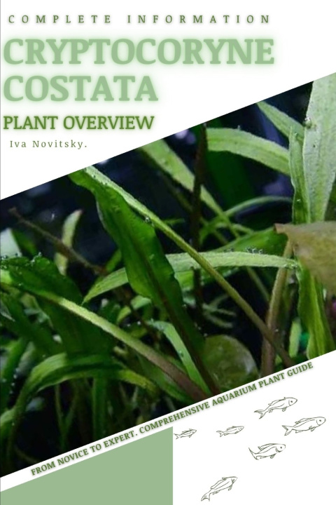 Kniha Cryptocoryne Costata Iva Novitsky