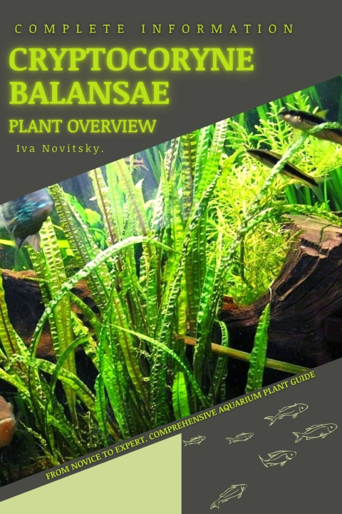 Kniha Cryptocoryne Balansae Iva Novitsky