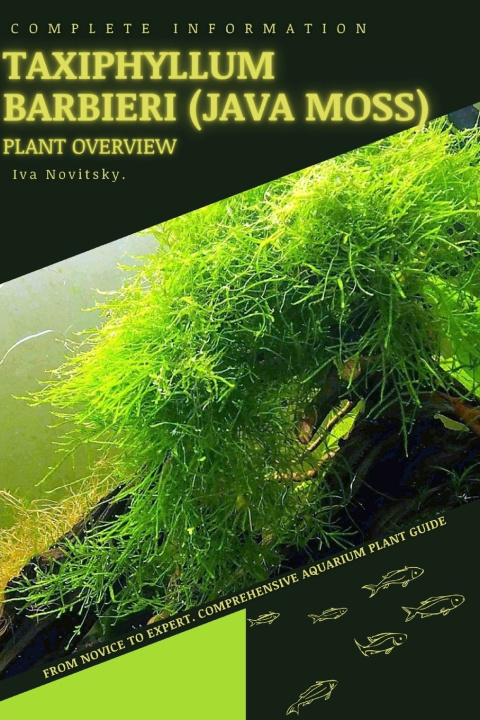 Kniha Taxiphyllum Barbieri (Java Moss) Iva Novitsky