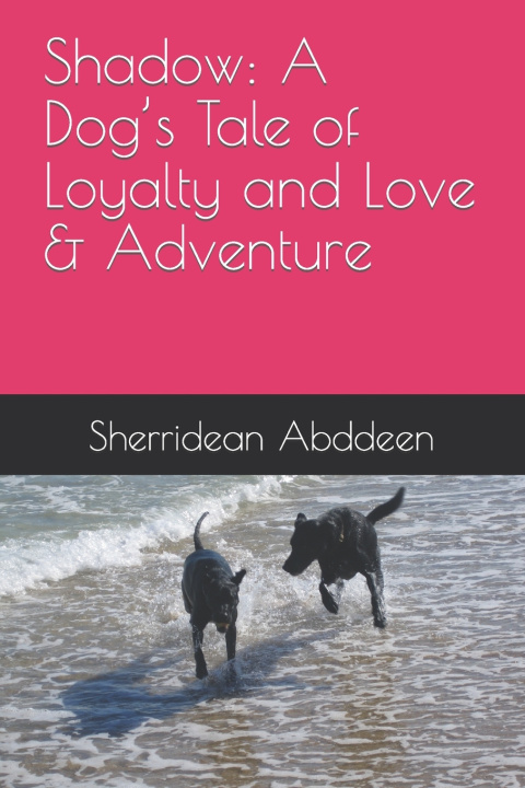 Knjiga Shadow Sherridean Abddeen