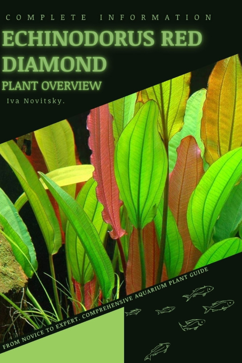 Kniha Echinodorus Red Diamond Iva Novitsky