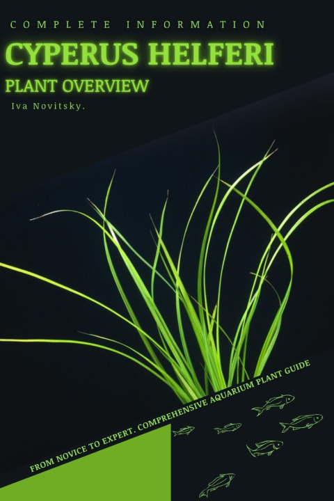 Kniha Cyperus helferi Iva Novitsky