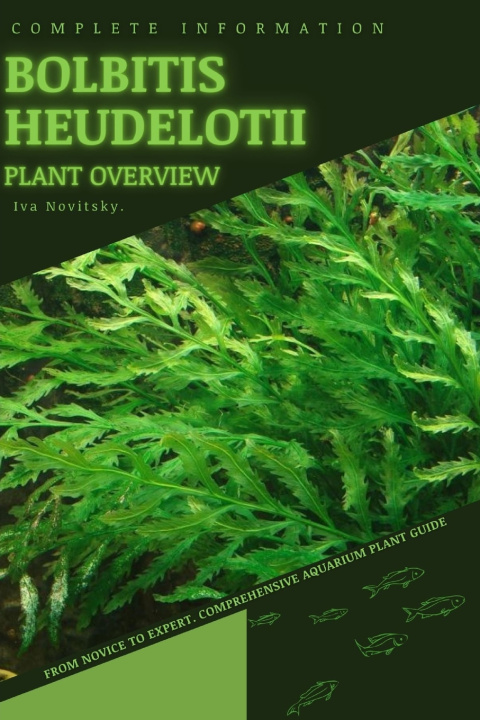 Kniha Bolbitis heudelotii Iva Novitsky