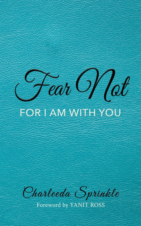 Kniha Fear Not Karen Gross