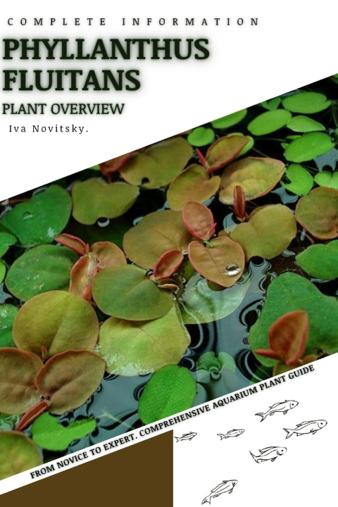 Kniha Phyllanthus fluitans Iva Novitsky