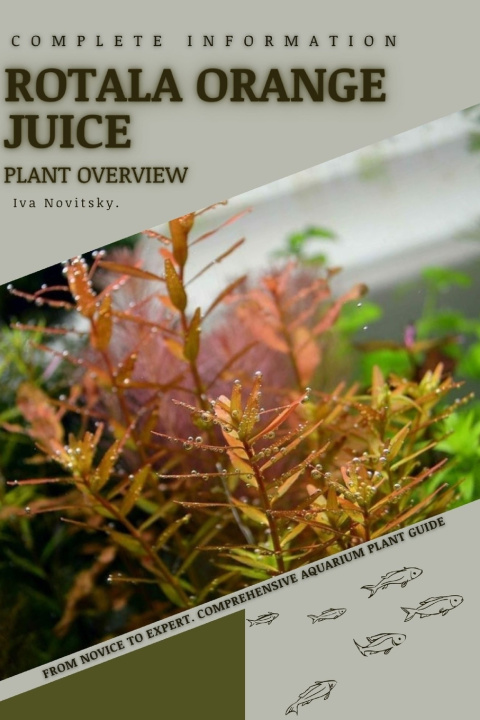 Knjiga Rotala Orange Juice Iva Novitsky