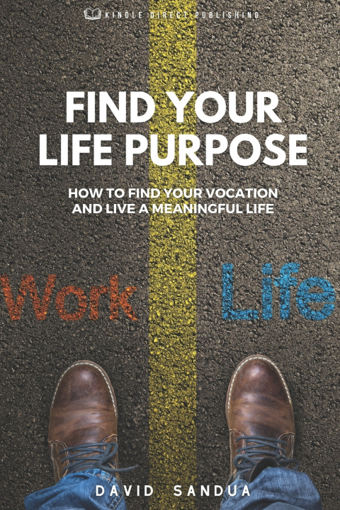Kniha FIND YOUR LIFE PURPOSE DAVID SANDUA