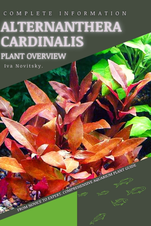 Kniha Alternanthera Cardinalis Iva Novitsky