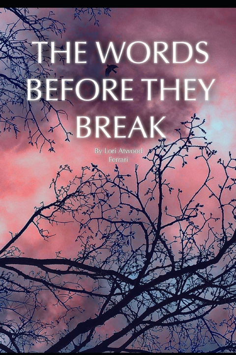 Kniha The Words Before They Break Lori Atwood Ferrari