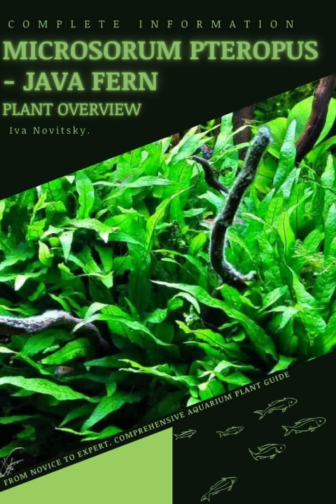 Knjiga Microsorum Pteropus - Java Fern Iva Novitsky