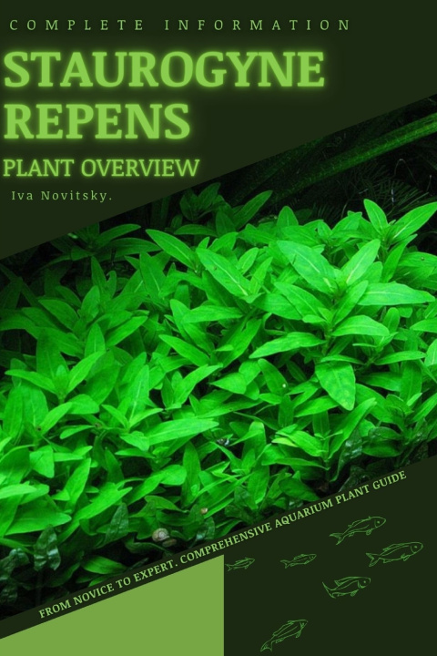 Knjiga Staurogyne Repens Iva Novitsky