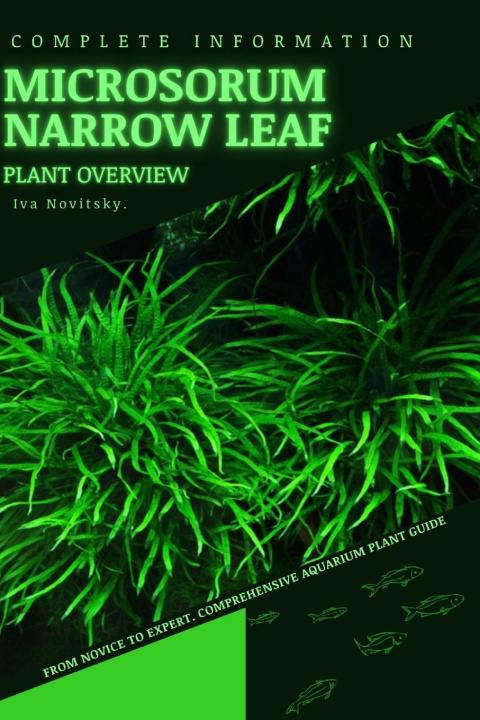 Kniha Microsorum Narrow Leaf Iva Novitsky