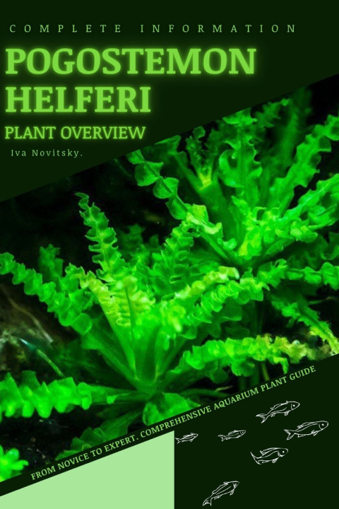 Kniha Pogostemon Helferi Iva Novitsky