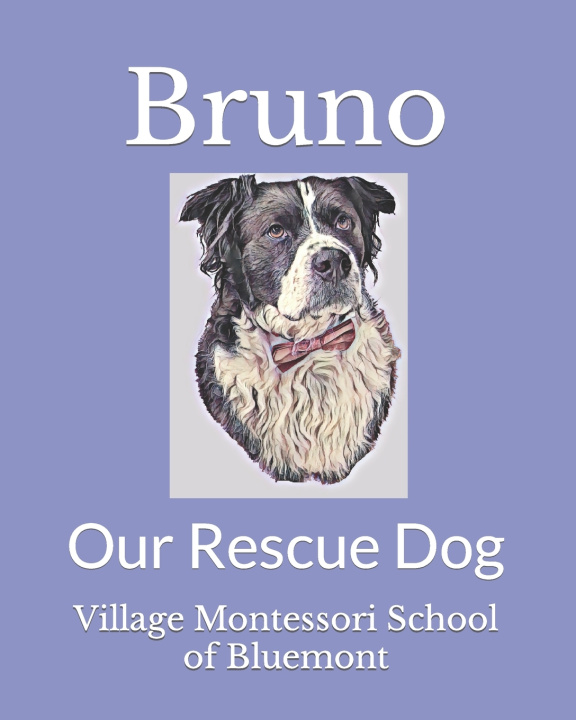 Kniha Bruno Village Montessori School of Bluemont
