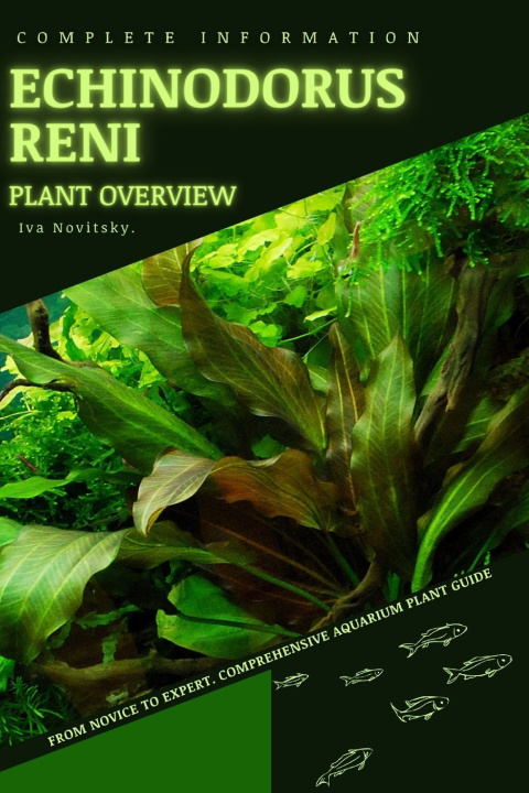Buch Echinodorus Reni Iva Novitsky