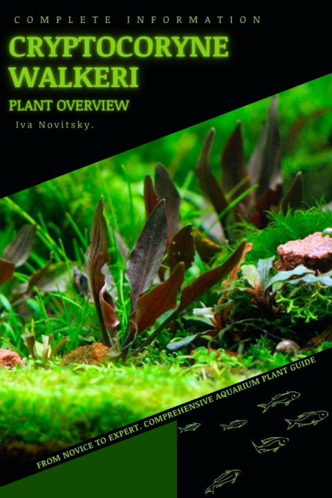 Kniha Cryptocoryne Walkeri Iva Novitsky
