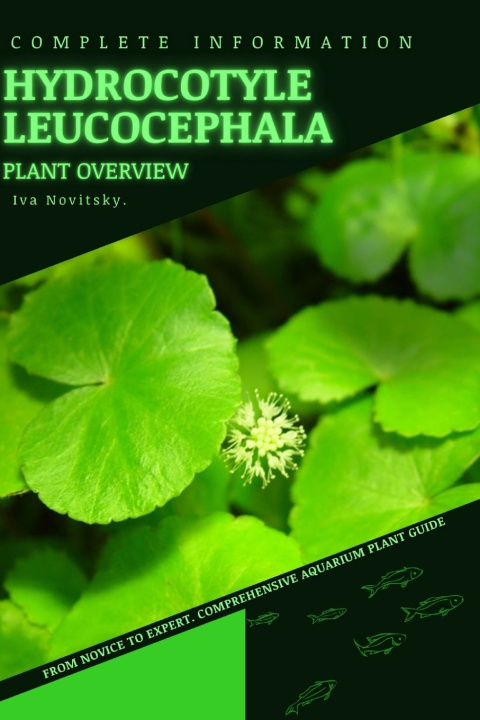 Knjiga Hydrocotyle leucocephala Iva Novitsky