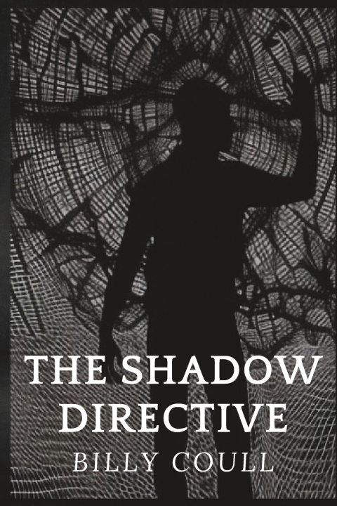 Kniha The Shadow Directive Billy Coull