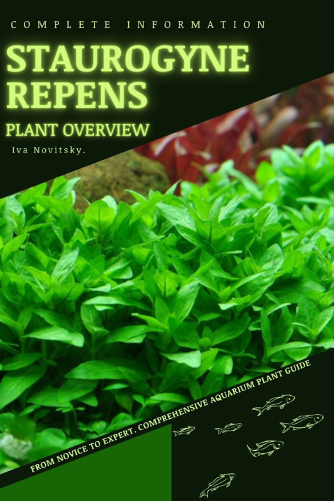 Kniha Staurogyne Repens Iva Novitsky